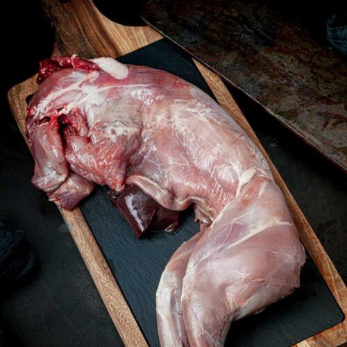 wild rabbit